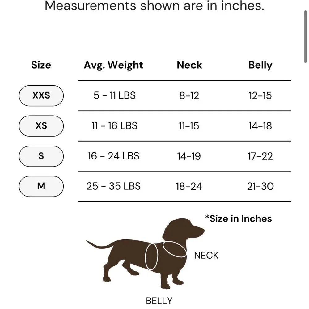 Adjustable Green No-Pull Dog Harness - Padded Comfort